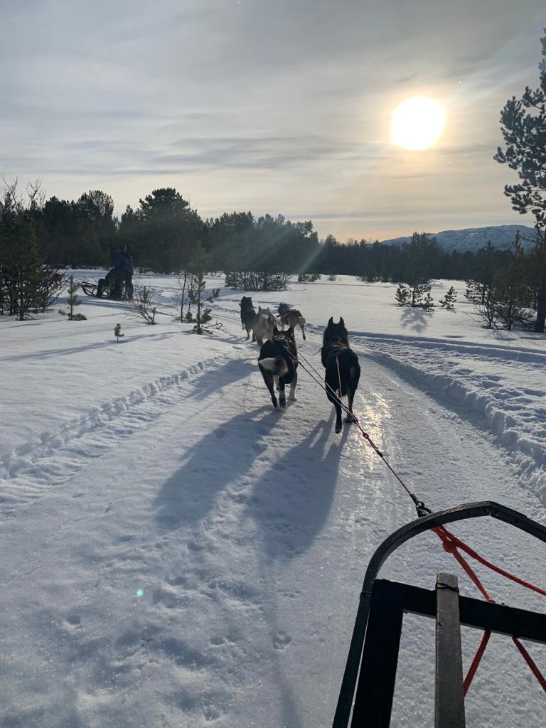 Dag Negen, Alta met hondenslee en sneeuwscooter